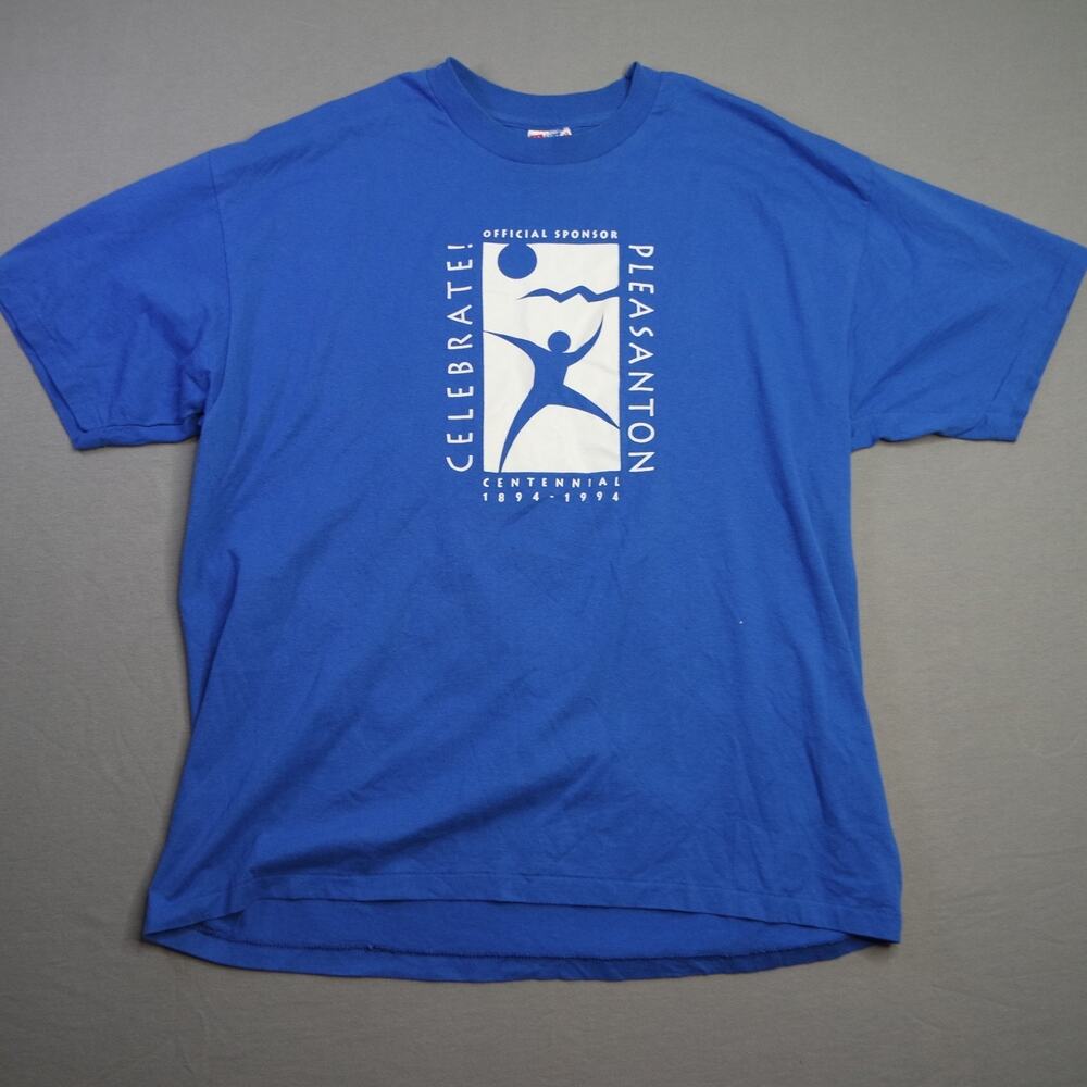 Vintage Hanes Shirt Mens XL Heavyweight 50/50 Single Stitch 90s Retro Blue
